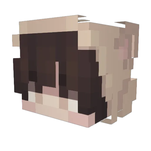 NephDraws Minecraft avatar head, 3D render