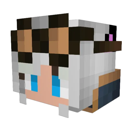 Nephiliem Minecraft avatar head, 3D render