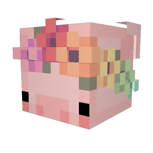 Nephinee Minecraft avatar head, 3D render