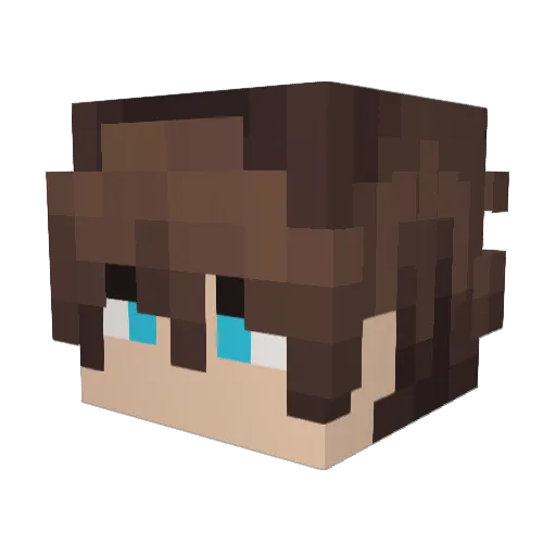 Nephium_ Minecraft avatar head, 3D render