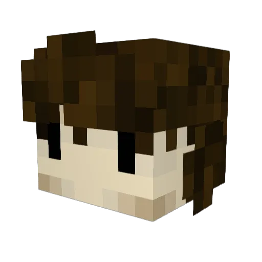 Nephogram Minecraft avatar head, 3D render