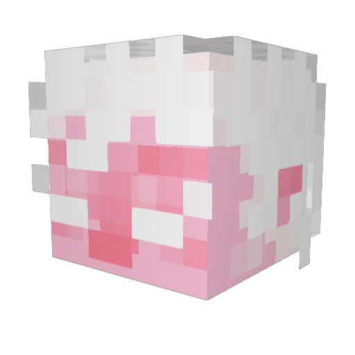Nephromanie Minecraft avatar head, 3D render