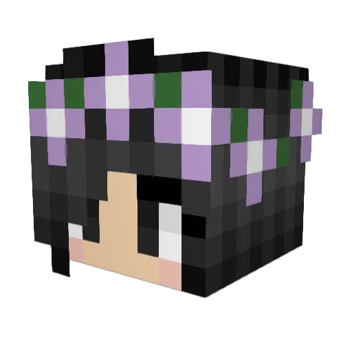 Neppyx33 Minecraft avatar head, 3D render