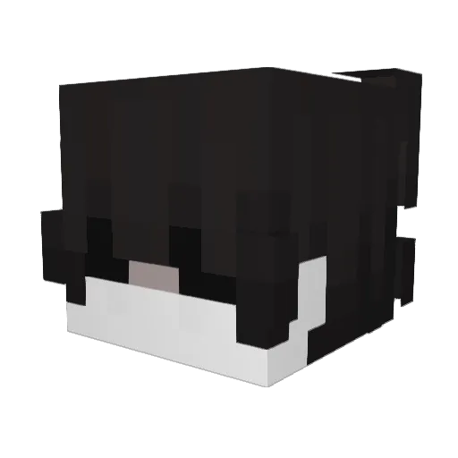 Neptunnios Minecraft avatar head, 3D render