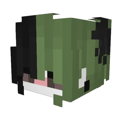 Neptuuney Minecraft avatar head, 3D render