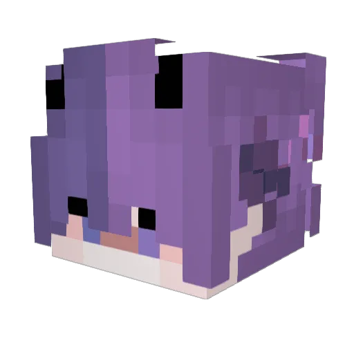 Nequas Minecraft avatar head, 3D render