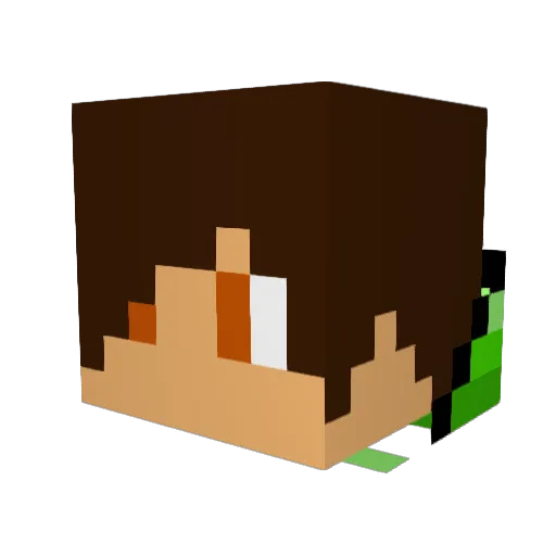 Nequinho Minecraft avatar head, 3D render