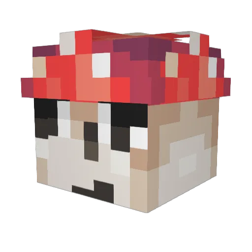 Nequoya Minecraft avatar head, 3D render