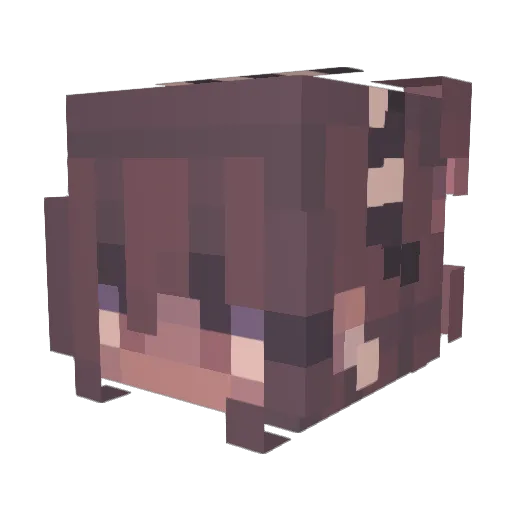 Nera_Neko Minecraft avatar head, 3D render