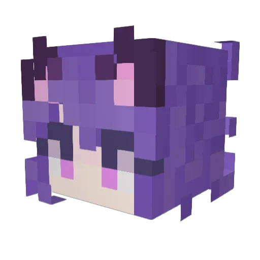NerakMC Minecraft avatar head, 3D render