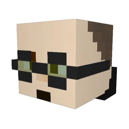 Nerd457515874544 Minecraft avatar head, 3D render