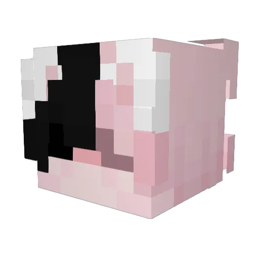 NerdDerp Minecraft avatar head, 3D render