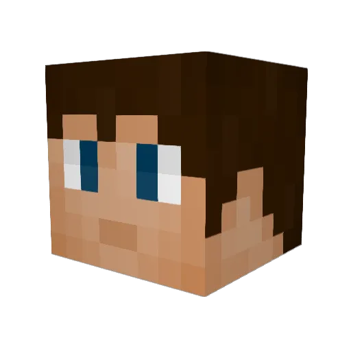 NerdFighter Minecraft avatar head, 3D render