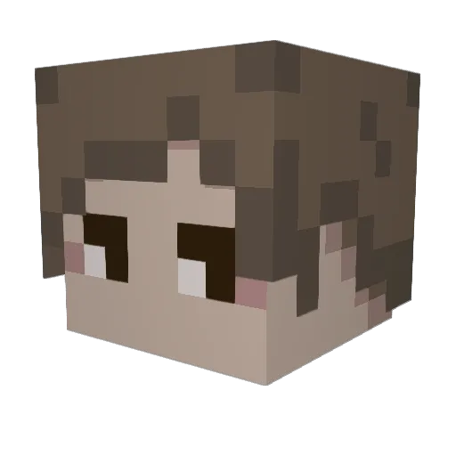 NerdIsland Minecraft avatar head, 3D render