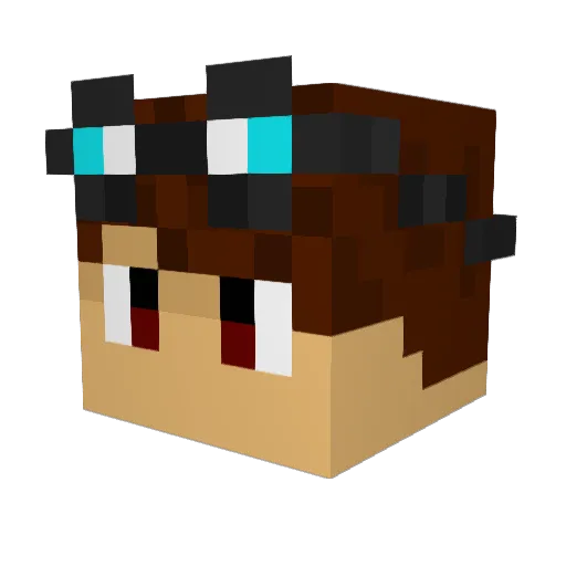 NerdNinja1 Minecraft avatar head, 3D render