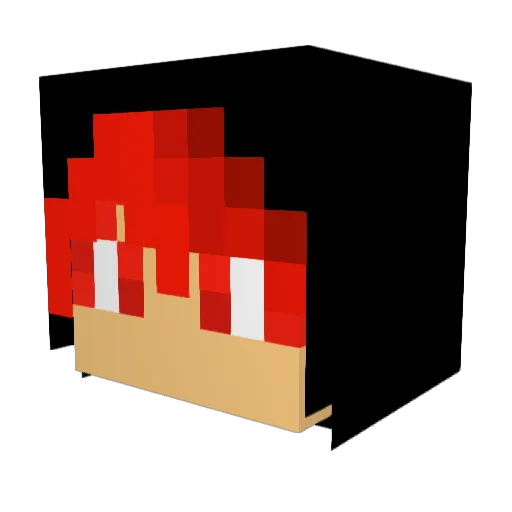 NerdNinjaSensei Minecraft avatar head, 3D render