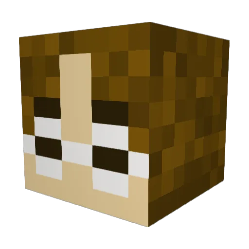 NerdWings Minecraft avatar head, 3D render