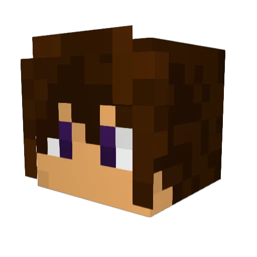 Nerd_Anjo Minecraft avatar head, 3D render