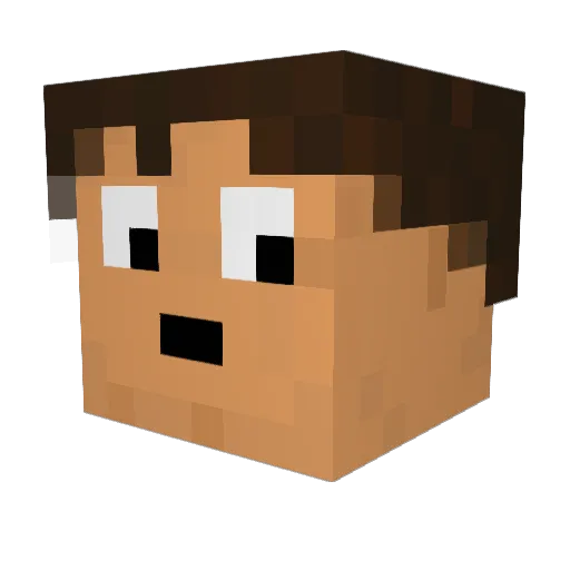 Nerd_Bert Minecraft avatar head, 3D render