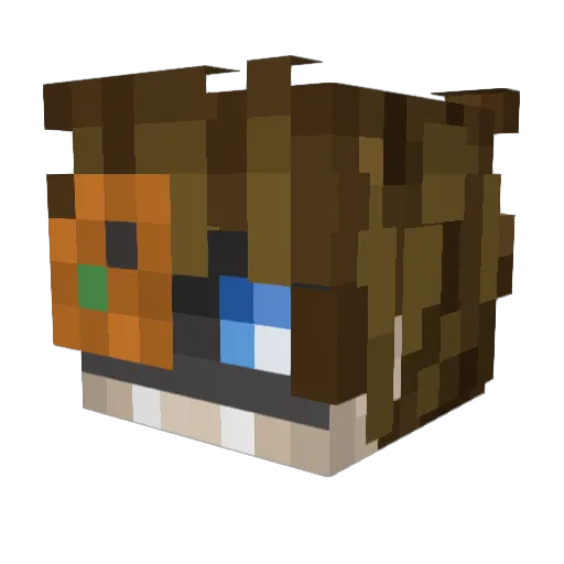 Nerd_MC Minecraft avatar head, 3D render