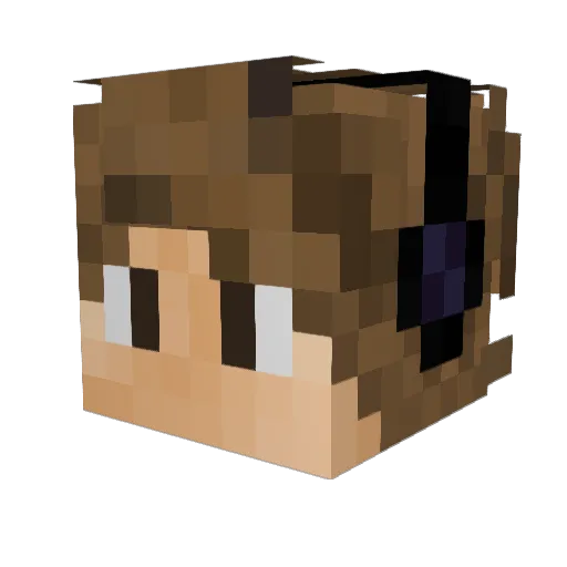 Nerd_Twist Minecraft avatar head, 3D render