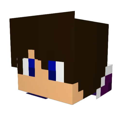 NerdexDK Minecraft avatar head, 3D render