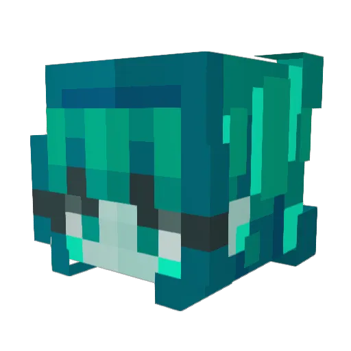 Nerdgamer2000 Minecraft avatar head, 3D render