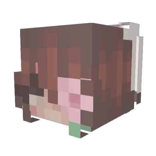 Nerdigans Minecraft avatar head, 3D render
