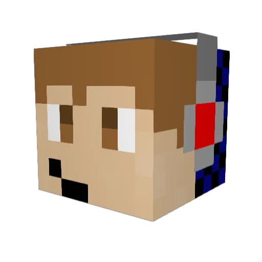 NerdplaysMC Minecraft avatar head, 3D render
