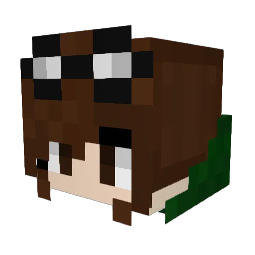 Nerds02_ Minecraft avatar head, 3D render
