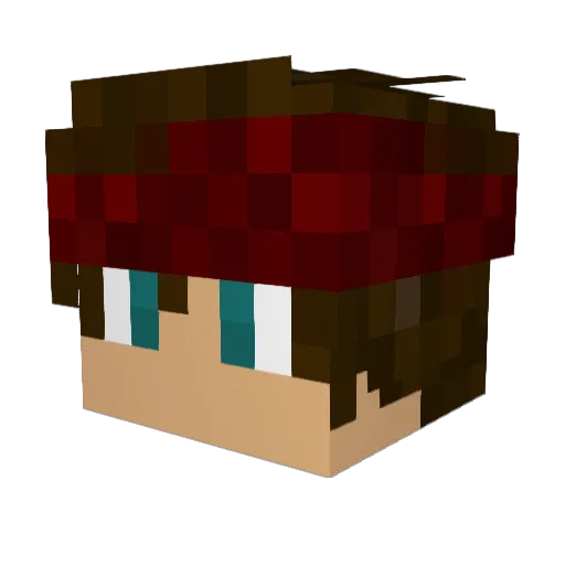 NerduxBw Minecraft avatar head, 3D render