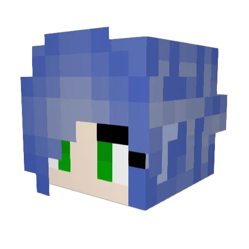 Nerdy0Wolf Minecraft avatar head, 3D render