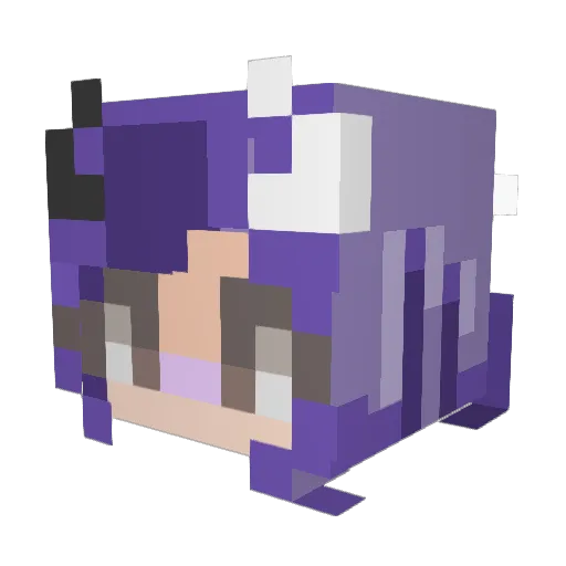 NerdyEncounters Minecraft avatar head, 3D render