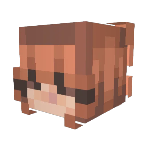 NerdyGamer2012 Minecraft avatar head, 3D render