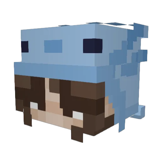 NerdyLace Minecraft avatar head, 3D render