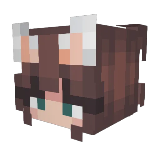 NerdyLuu Minecraft avatar head, 3D render