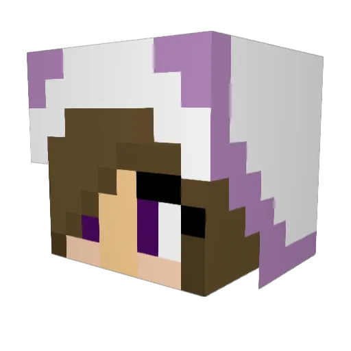 NerdyPanda1028 Minecraft avatar head, 3D render