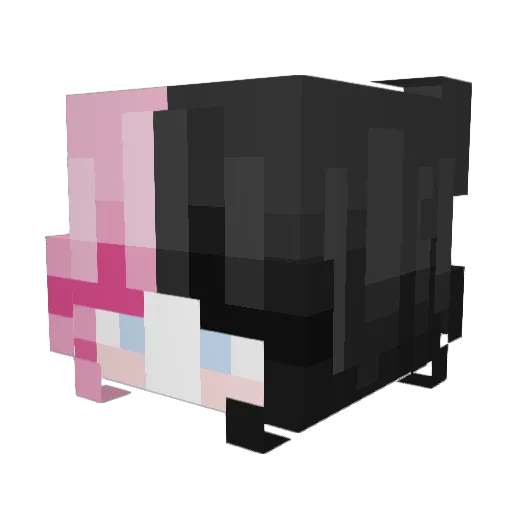 Nerdy_Bun Minecraft avatar head, 3D render
