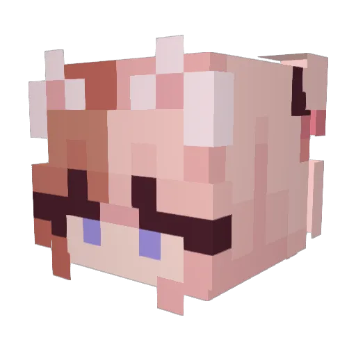 Nerdybunny16 Minecraft avatar head, 3D render