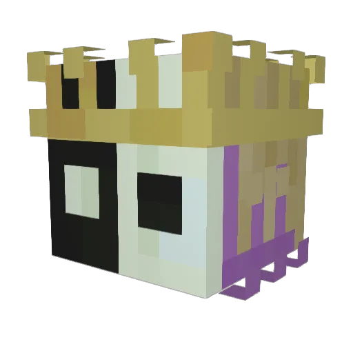 Nerdyninja54 Minecraft avatar head, 3D render
