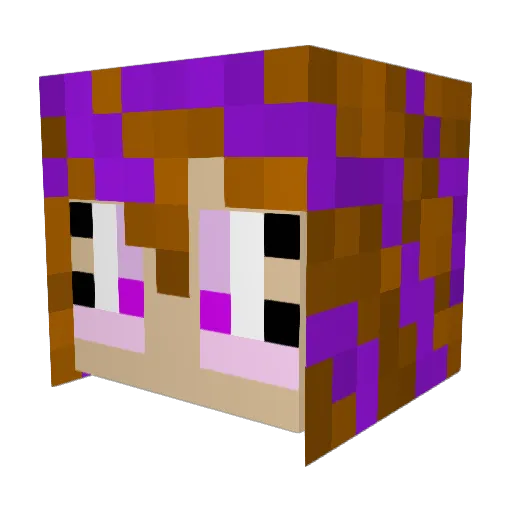 Nerdz2001 Minecraft avatar head, 3D render