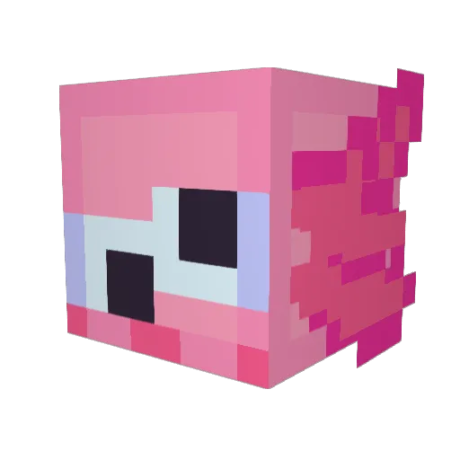 Nerdzinhow Minecraft avatar head, 3D render