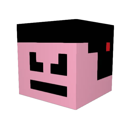 Nerf310 Minecraft avatar head, 3D render