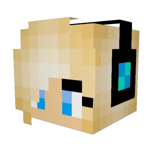 Nerf8 Minecraft avatar head, 3D render