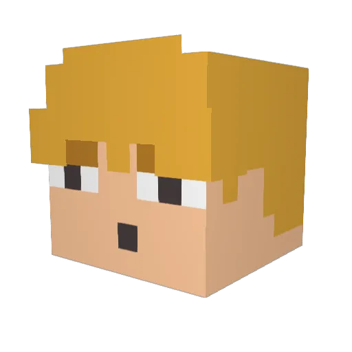 NerfGun51 Minecraft avatar head, 3D render