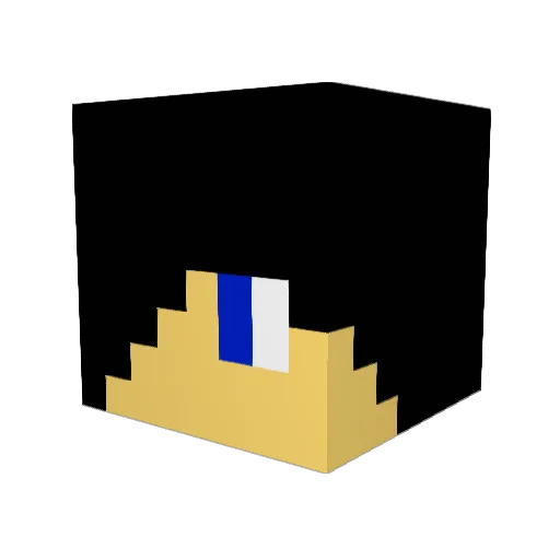 Nerf_Gun37 Minecraft avatar head, 3D render