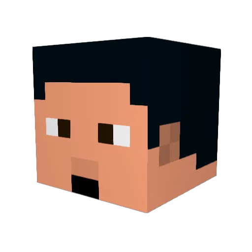 Nerf_Veteran Minecraft avatar head, 3D render