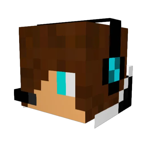 Nerfherder121 Minecraft avatar head, 3D render