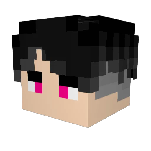 Neritow Minecraft avatar head, 3D render