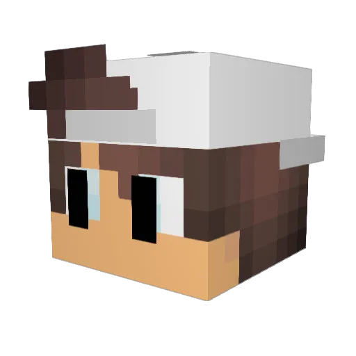 Nero1604 Minecraft avatar head, 3D render